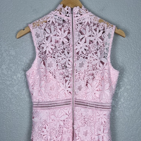 Bardot Elise Lace Dress, Washed Pink 6 - Sleeveless, Feminine, Sexy, EUC, Small - Picture 8 of 13